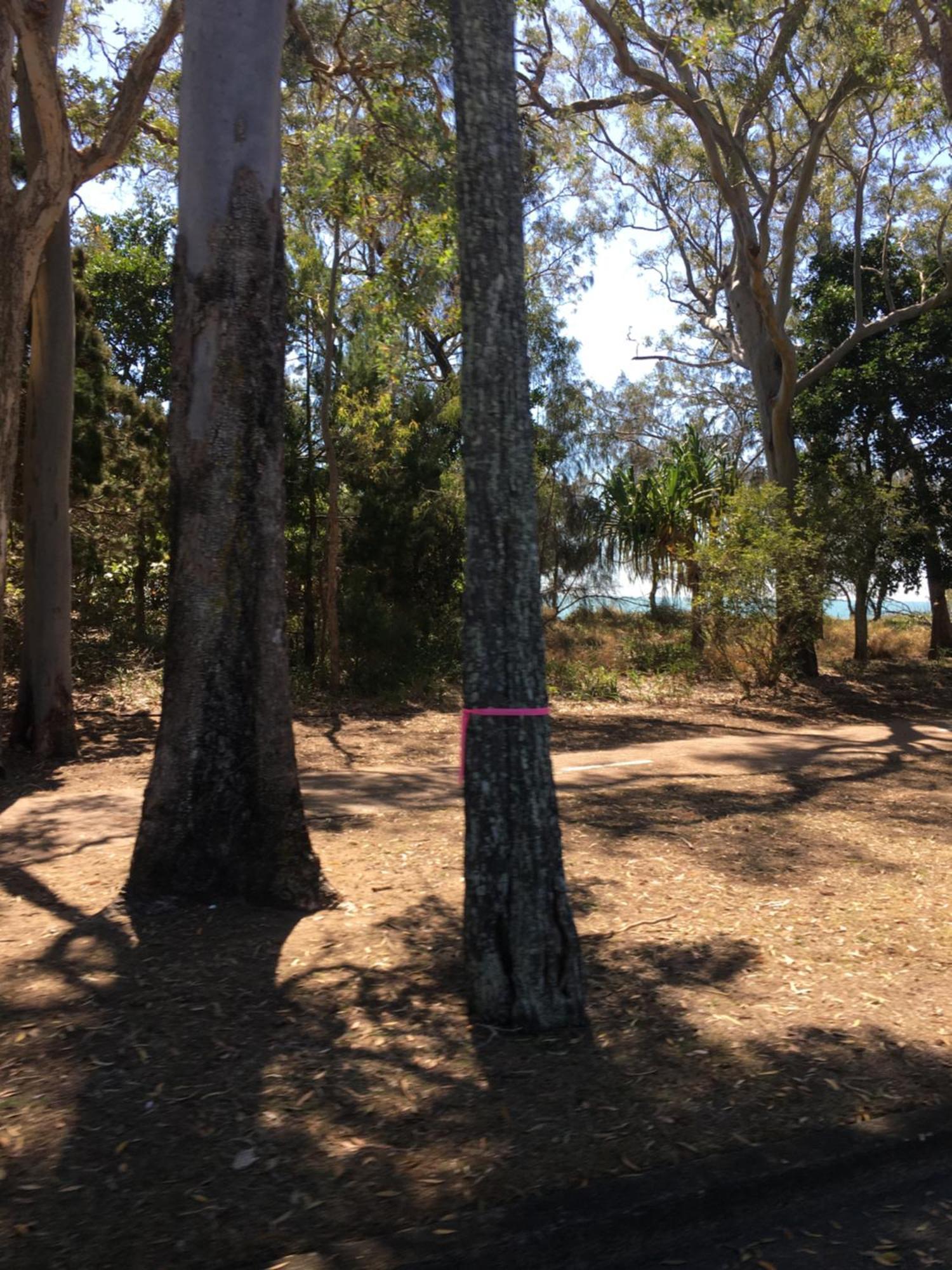 The Bay Beach Shack, Hervey Bay Eksteriør bilde